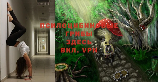 герыч Алексин